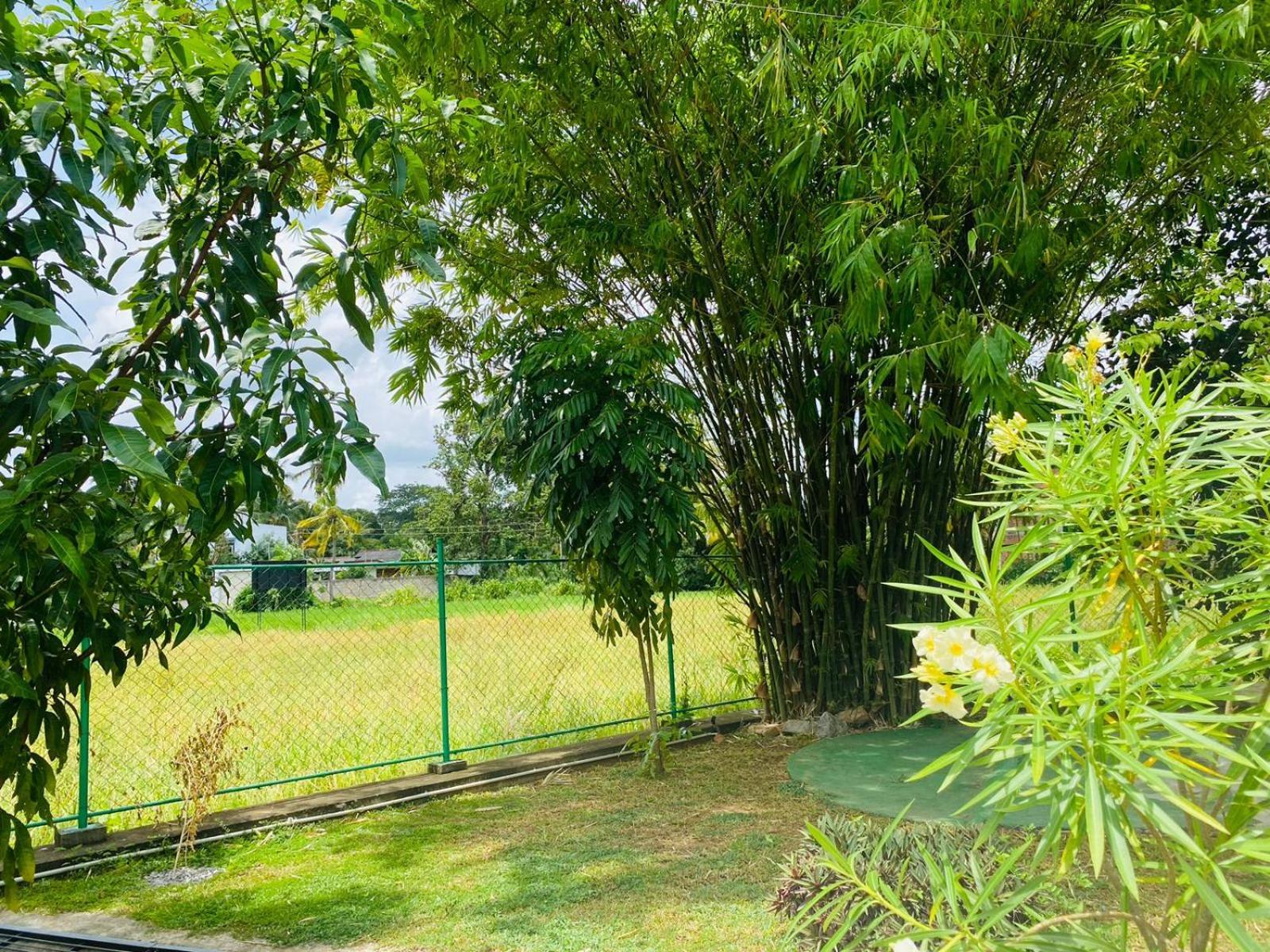 Premium Cottages B&B Kurunegala Eksteriør bilde