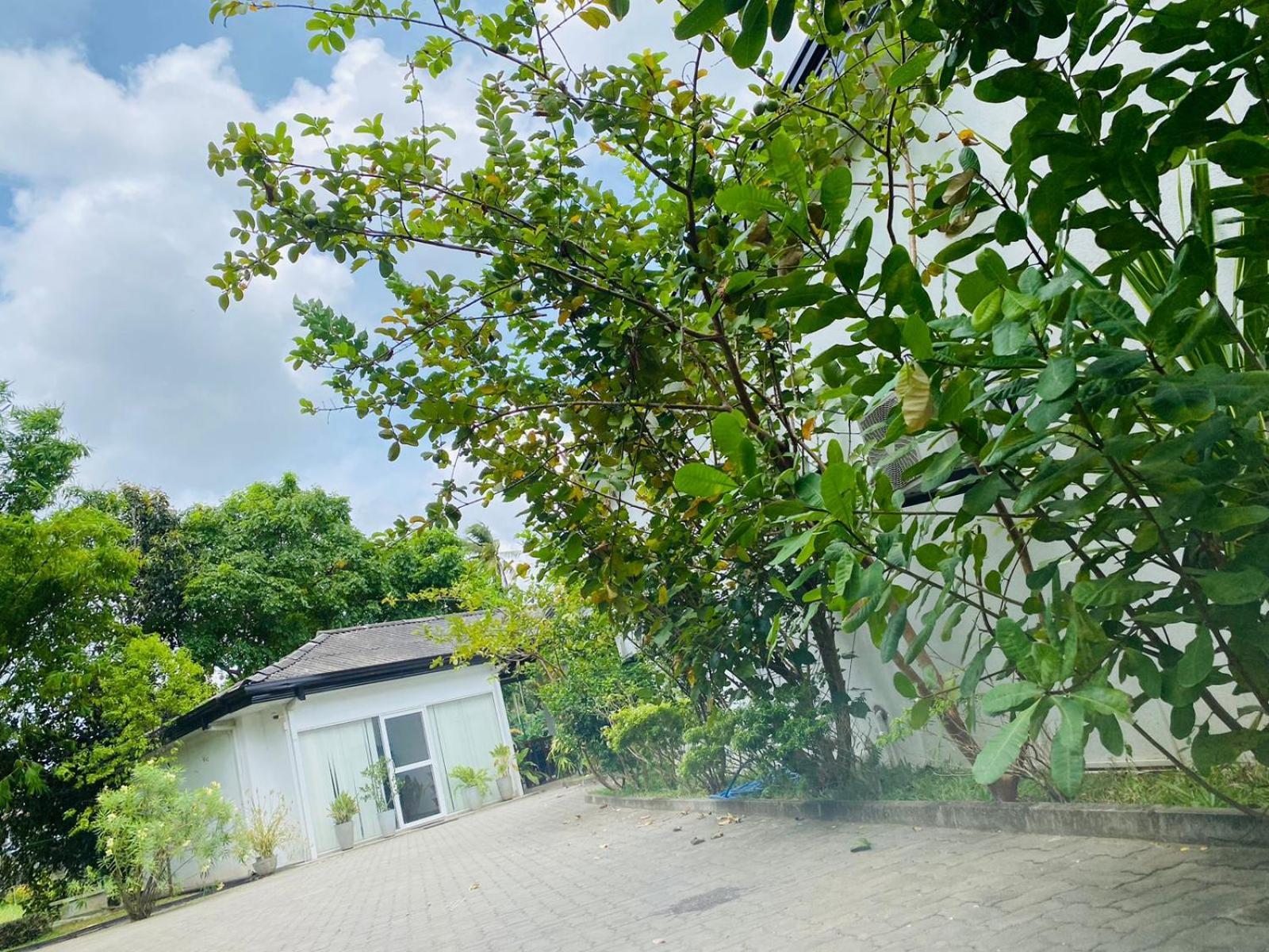 Premium Cottages B&B Kurunegala Eksteriør bilde