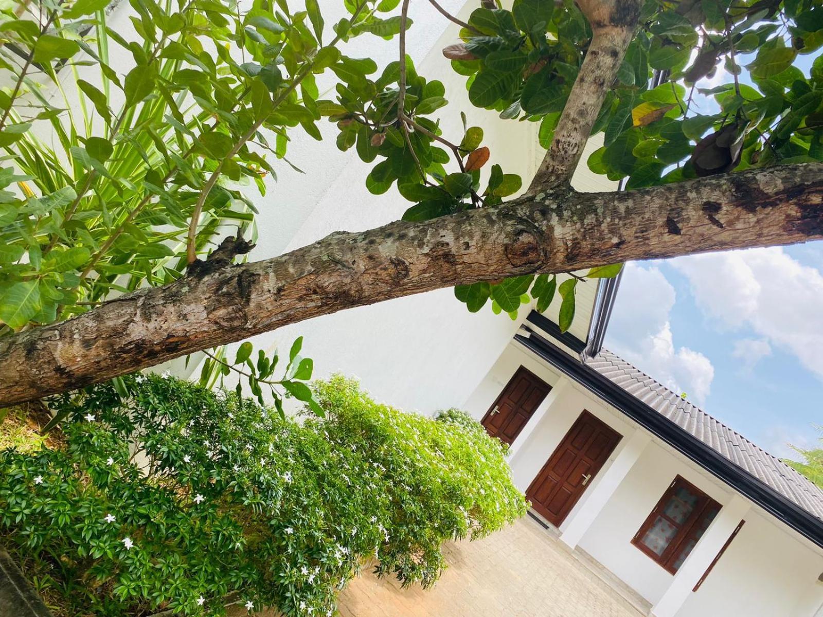 Premium Cottages B&B Kurunegala Eksteriør bilde