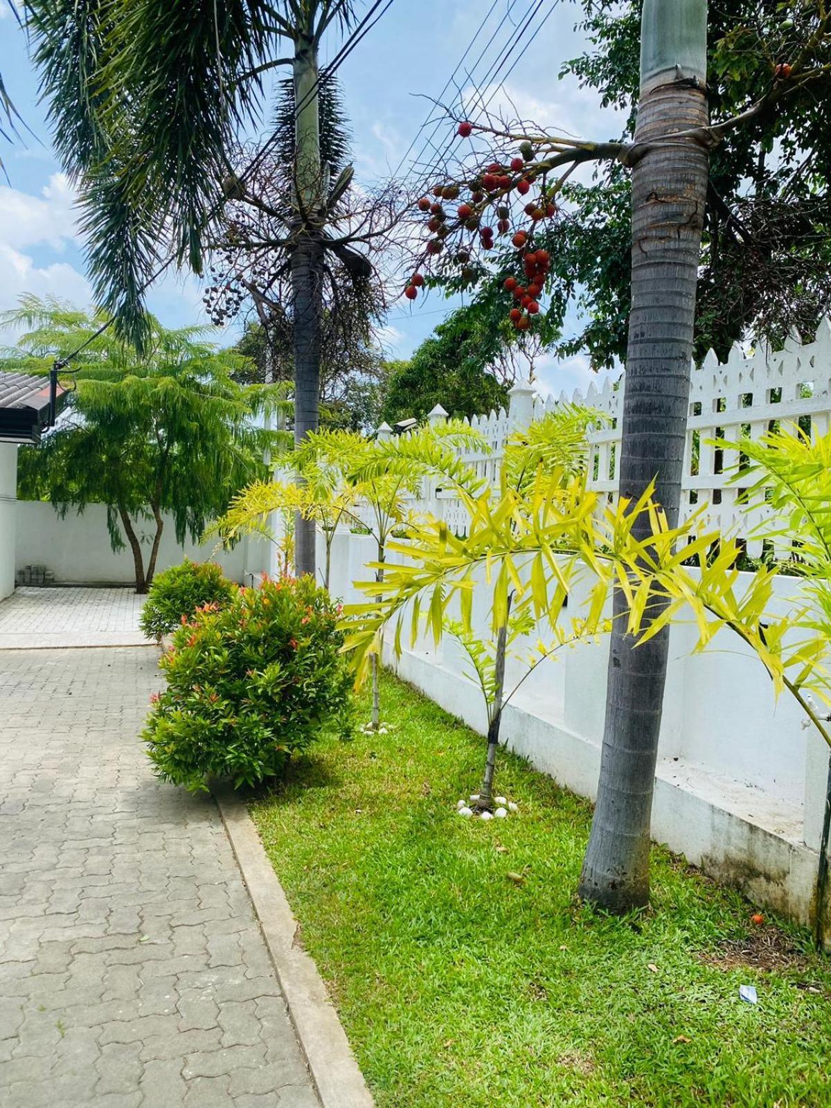 Premium Cottages B&B Kurunegala Eksteriør bilde